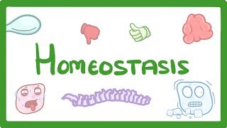 GCSE Biology - Homeostasis  #54