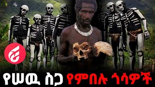 Ethiopia : ስለ መኖራቸዉ የማታዉቋቸዉ የዓለማችን አገደኛ ጎሳዎች | Tora news