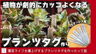 【ステンレス】バチバチにカッコいいプランツタグを作ったので紹介したい【アガベ・塊根・多肉】