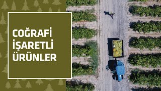 Coğrafi İşaretli Ürünler