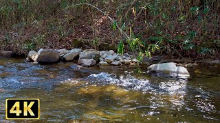 4K 川の水の音でリラックスする 2時間22分［山口県黒岩峡］