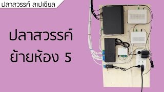 ปลาหวัน Special #14 - ปลาสวรรค์ย้ายห้อง 5