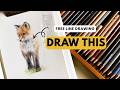 How to Draw a Fox Cub - Realistic Beginner Colour Pencil Tutorial - Step by Step