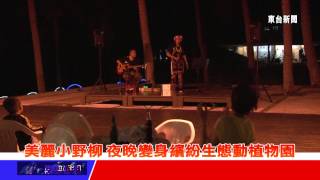 台東新聞  20130518 美麗小野柳 夜晚變身繽紛生態動植物園