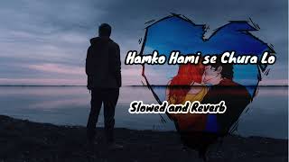 Humko Humise Chura Lo (Slowed+Reverb) | Lata Mangeshkar, Udit N | Extra Lofi Vibes