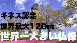 【ＴＶ・ネットで話題】茨城の世界一大きい大仏様　牛久大仏 うしくだいぶつ　仏像　世界の果てまでイッテQ!  みやぞん