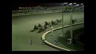 Roosevelt Raceway 1986 - Habib -  International Trot