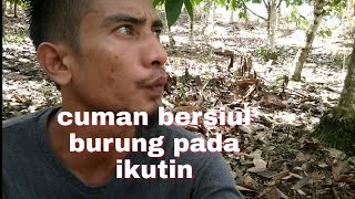 manggil burung liar cuman bersiul