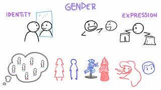 Sex vs Gender vs Orientation