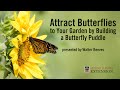 Attract Butterflies to Your Garden with a Butterfly Puddle with Walter Reeves