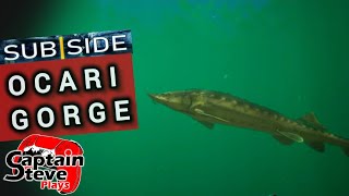 Subside - Ocari Gorge - All Keys 🔑  Lock Boxes \u0026 Lost Camera's 📷 Captain Steve Plays VR