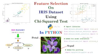 Feature Selection using Chi Squared Test in Python || Step-By-Step || ~xRay Pixy