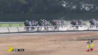 2025年1月5日中京1R 3歳未勝利ダート1800mルヴァンユニベール