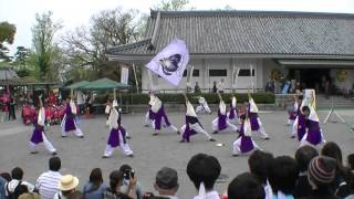 「神起～星宿～」　どまつり夜桜in岡崎2016