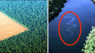 Les découvertes les plus mystérieuses de la forêt amazonienne !