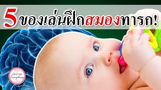 พัฒนาการทารก : 5 ของเล่นฝึกสมองทารก! | พัฒนาสมองทารก | เด็กทารก Everything