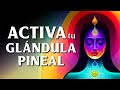 SIGUE MI VOZ y ACTIVA TU GLÁNDULA PINEAL | Meditación de apertura Tercer ojo