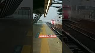 狂風暴雨中的273次普悠瑪#temu2000