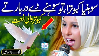 Sohneya kabootra tu sohne de darbar | Amina Munir | Naat | Naat Sharif | i Love islam