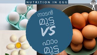 ഫാം മുട്ട കൊഴപ്പക്കാരൻ ആണോ || Desi Eggs vs Poultry Eggs || NUTRIENTS IN EGG || HEALTH IS WEALTH