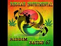 Reggae inst Riddim Nation Vol 67