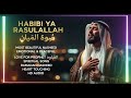 💔 You Will Cry Listening To This | Emotional Islamic Nasheed