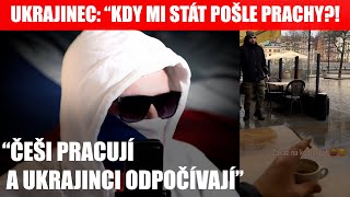 TOHLE UŽ JE MOC! Arogance UKRAJINCE na účet ČECHŮ