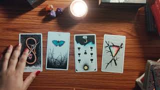 Next 24hrs🌸🎁Healing \u0026 Moving on🌹Their CURRENT feels🪬चाहते हद सें ज़्यादा हैं ♥️Hindi Timeless Tarot