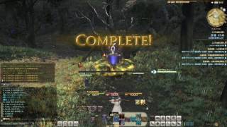 【FF14】クラスクエスト：ソーサラー：幻術士クエスト：こころは森に惑う  #1043