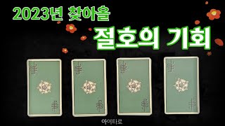 [타로카드] 2023년 찾아올 절호의 기회