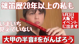 篠笛の大甲の半音にチャレンジ、1番難しいのは実は大甲1#？？