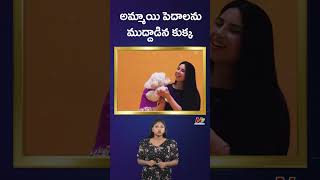 అమ్మాయి పెదాలను ముద్దాడిన కుక్క | Ntv Global