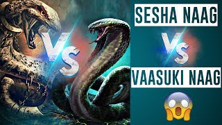 Who is Powerful between Sesha Naag and Vaasuki Naag ? ll Lord Shiva's Devotee