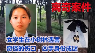 女孩身中兩刀離奇遇害，16年后弟弟接受催眠，才說出嫌疑人是女性 #CF 刑案档案 #案件 #探案 #懸案 #懸疑