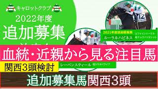 【一口馬主】キャロット追加募集馬（関西３頭）「血統・近親からみた検討」