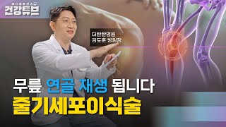 [KNN건강튜브] 무릎은 닳으면 끝이다?! 무릎 회춘, 줄기세포이식술