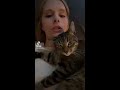 cute tabby cat mimics owner brushing her hair viralhog