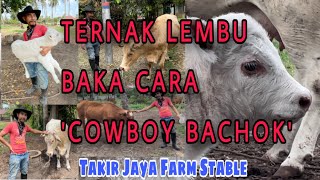 Induk berkualiti rahsia hasil anak lembu berharga RM15,000 seekor