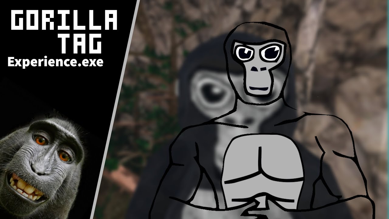 Gorilla Tag Experience Exe Youtube