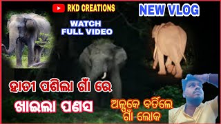 ହଠାତ୍ ହାତୀ ପଶିଲା ଗାଁ ରେ ।। Elephant On Road ।। Real Elephant ।। RKD CREATIONS ।।