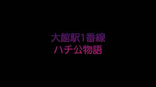 奥羽本線大館駅「ハチ公物語」耳コピ