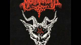 Morbosidad - Bestial Y Morboso