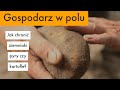 Ochrona ziemniaka pyry kartofla - Gospodarz w polu