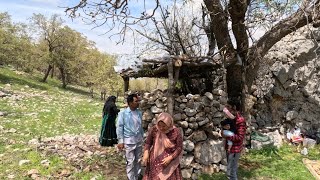 Building Spring Hut _ Nomadic & Village Lifestyle Of Iran