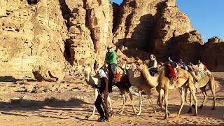 《Habibi Jordan》  Wadi Rum Camel Safari, 낙타 사파리