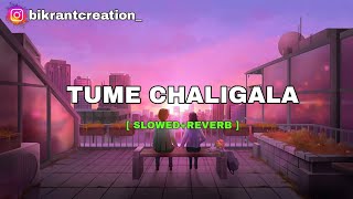 Tume Chaligala Pare - Vlogger Lofi ( Lofi Music 🎶 ) [ Slowed and Reverb ] New Sad Song #lofisong