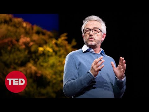 Does petroleum have carbon?