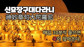 매일 신묘장구대다라니 들으면 복이 온다! (30분)