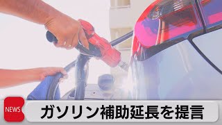 自民党　ガソリンなどの燃料価格の補助延長を求める提言　岸田総理に手渡す（2023年8月30日）