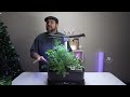 Hydroponic Garden From HEMOPLT One Month ish Update